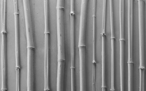 Bamboo Strips-Small #513